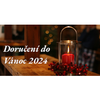 Doručení objednávek do Vánoc 2024